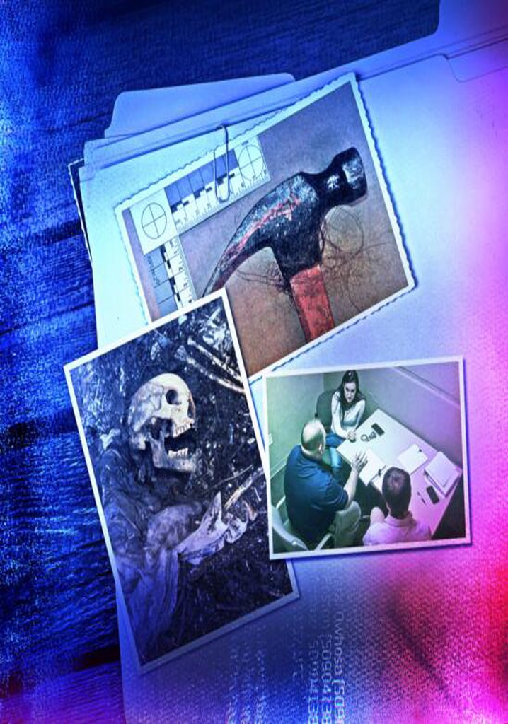 Killer Cases Season 2 watch full episodes streaming online